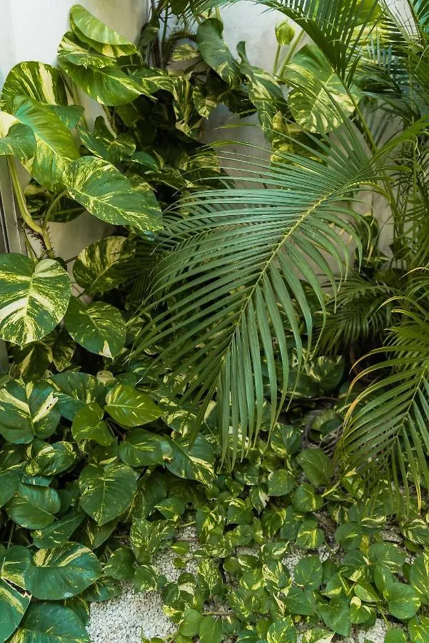 Casa Bohemia Apartment Tulum