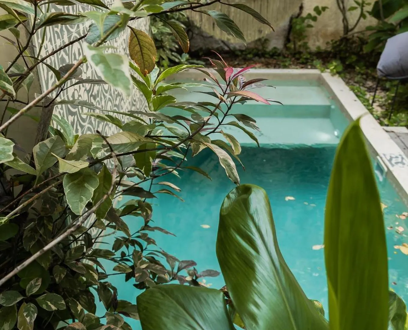 Casa Bohemia Apartment Tulum